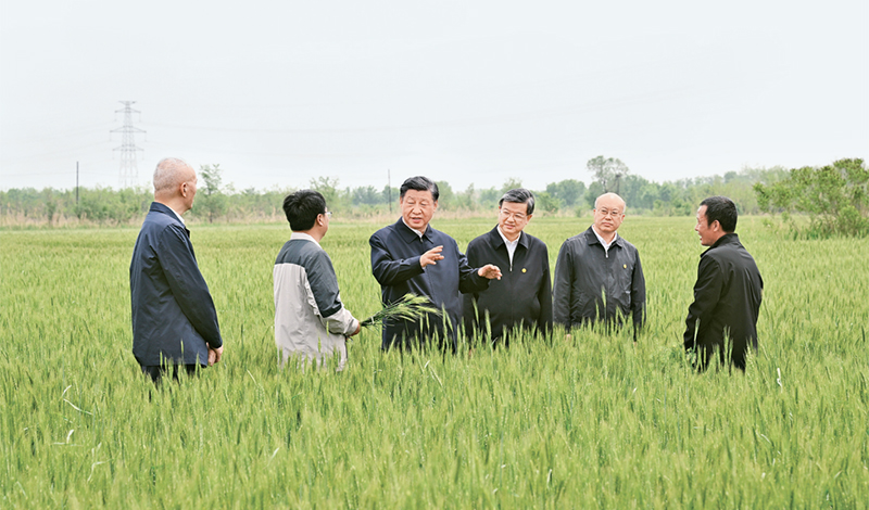 2023年5月11日至12日，，，，，中共中央总书记、国家主席、中央军委主席习近平在河北考察，，，，，并主持召开深入推进京津冀协同发展座谈会。。。。。。。这是11日上午，，，，，习近平在沧州市黄骅市旧城镇仙庄片区旱碱地麦田考察时，，，，，同种植户、农技专家亲切交流。。。。。。。 新华社记者 李学仁/摄